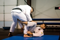 IMG_0121 IMG_0121