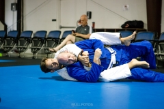 IMG_0132 IMG_0132