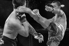 graves-head-kick graves-head-kick