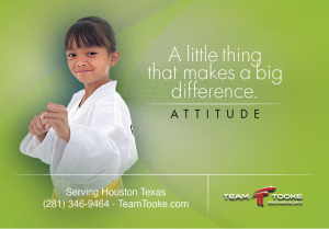 Little Champions Jiu-jitsu